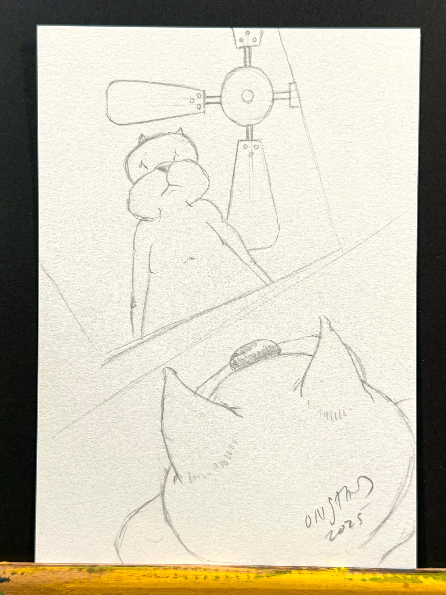 Beef, Reflection With Cheap Fan, 5x7"