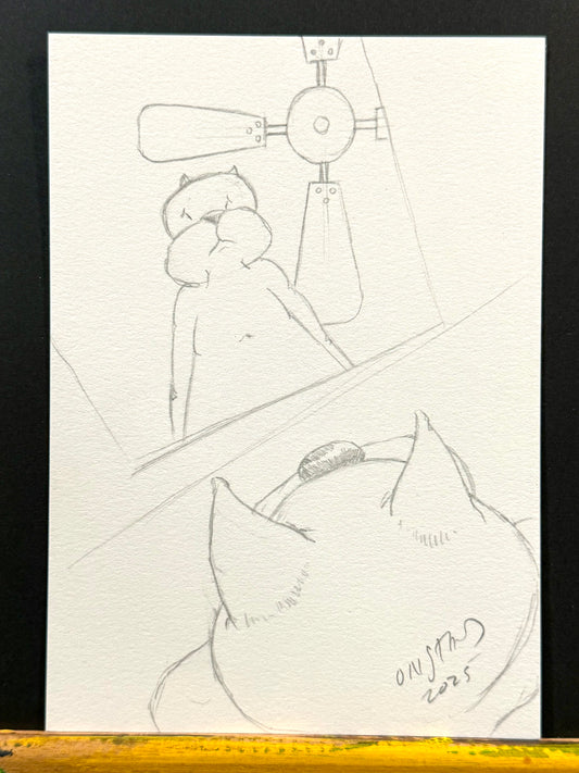 Beef, Reflection With Cheap Fan, 5x7"