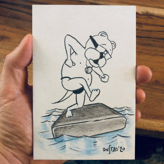 Ray, Couch Surfing Pool Player